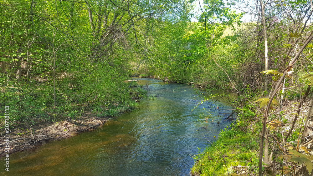 down by the stream