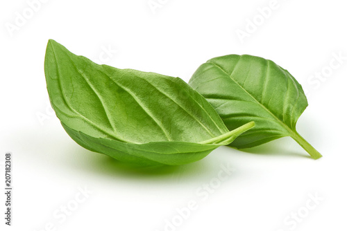 Fototapete Sweet basil herb leaves bunch isolated on white background