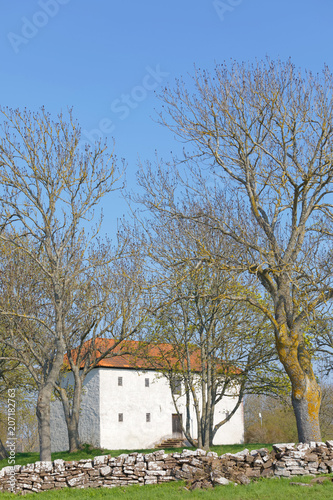 Traditional white building with limed walls and tile roof among trees and a stone wall outside the city Borgholm at the island Oland in Sweden © hans_chr