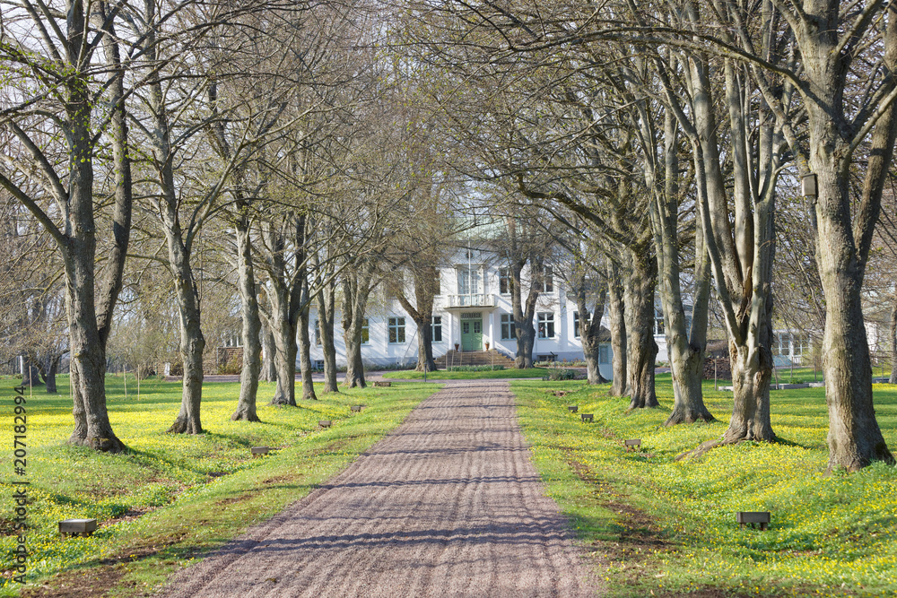 Avenue and a gravelled footpath leading to the queen Victorias hotel and rest home outside the city Borgholm at the island Oland in Sweden