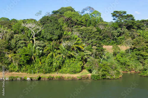Jungle of the Panama Canal.