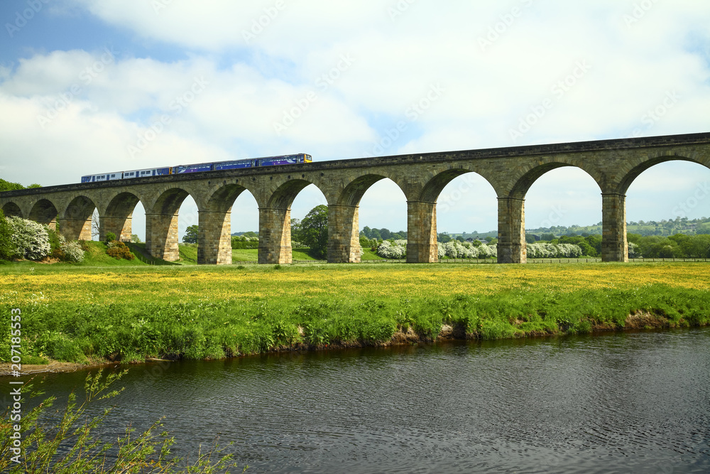 Arthington to castley railway viaduct spanning the river wharfe in leeds west yorkshire with a commuter train on the line