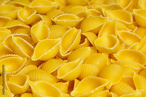 Conchiglioni italian pasta