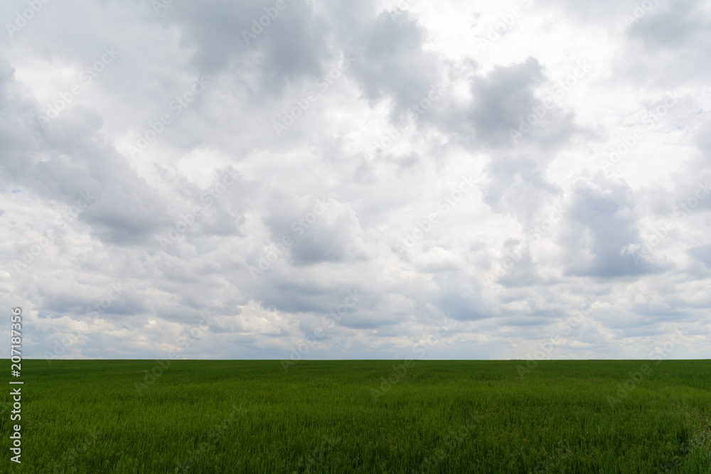 field on a background of cloudy sky