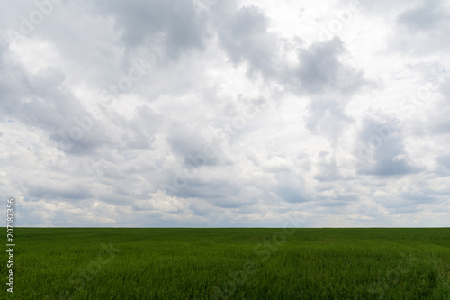 field on a background of cloudy sky