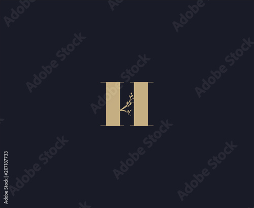 letter H logo design template. luxury logo