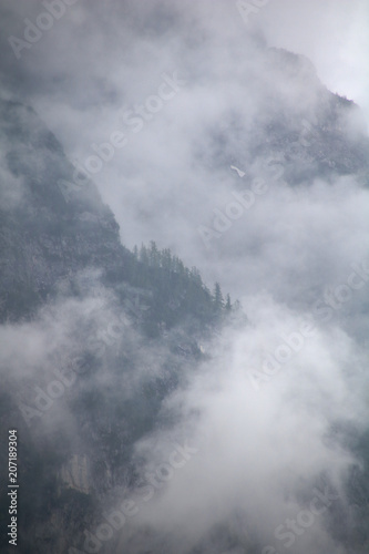 foggy clouds rising from dark mountain forest © Björn