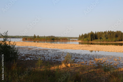 Wetlands On The Other Side Of Astotin Lake, Elk Island National Park, Alberta