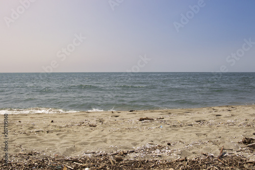Sandy beach by the sea with alluvial debris and driftwood near the coastal town of Viareggio © were