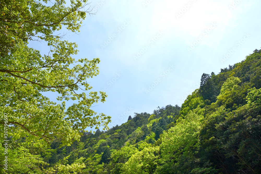 Obraz premium 御在所岳から望む