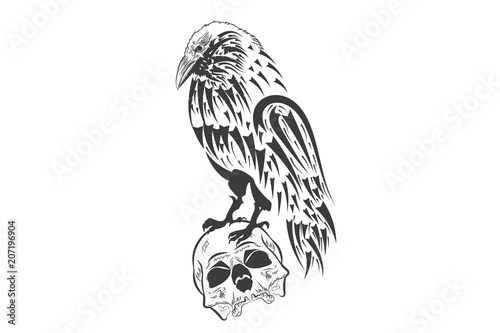 Raven sits on the skull. Tatu. Design drawing.