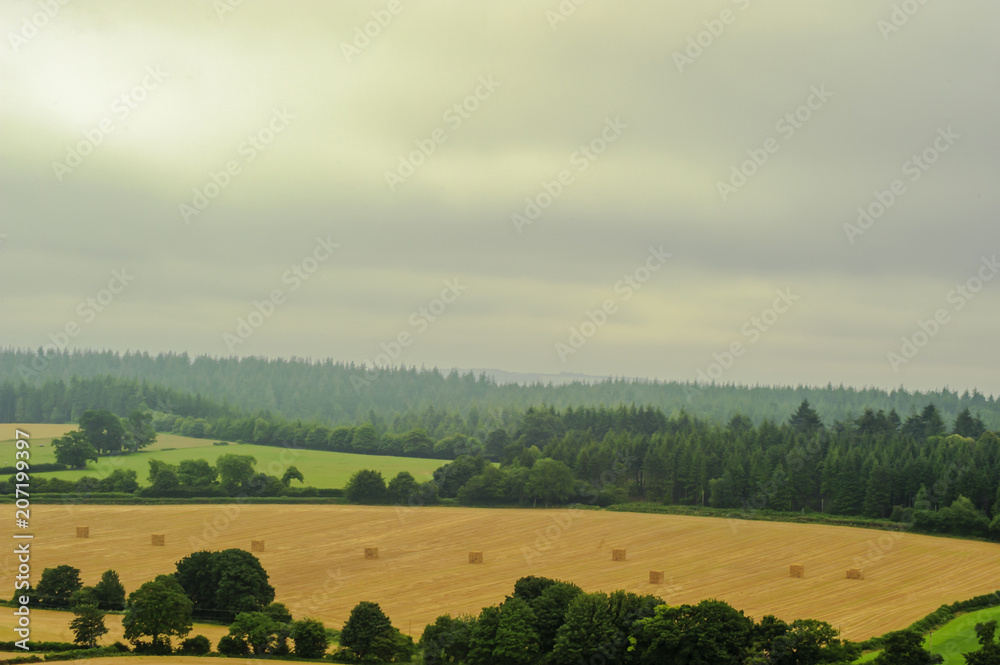 Countryside of the Warminster - Wiltshire - UK