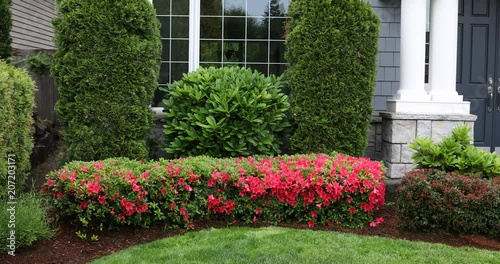 Front yard with flowering bushes and bird during spring time