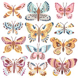 Vector cute butterfly set