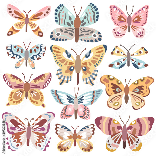 Vector cute butterfly set