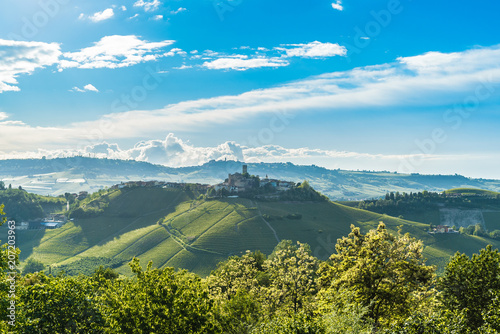 Langhe vineyards landscape of Piedmont, Italy photo