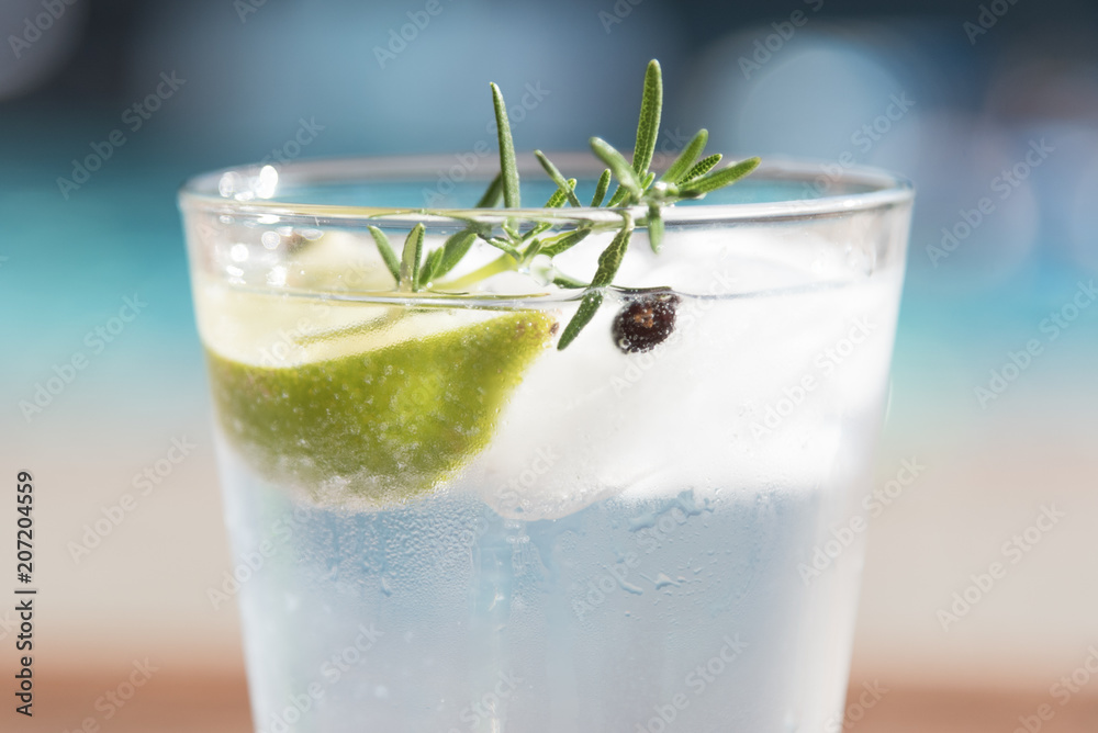 Gin and Tonic with Juniper Berry and Rosemary Gin and Tonic with Juniper Berry and Rosemary