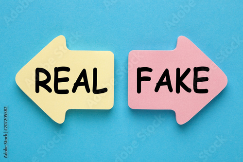 Fake or Real Concept