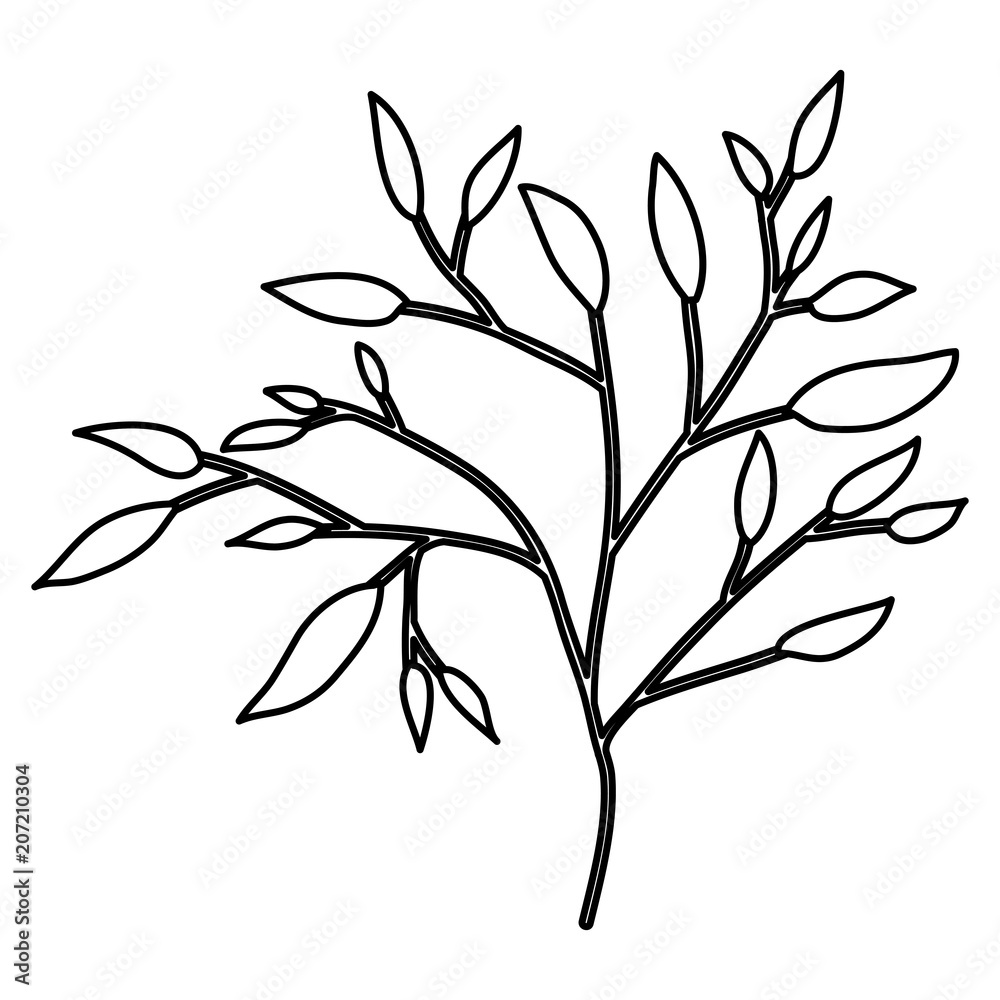 Naklejka premium branch with leafs decorative icon vector illustration design