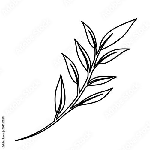 branch with leafs decorative icon vector illustration design