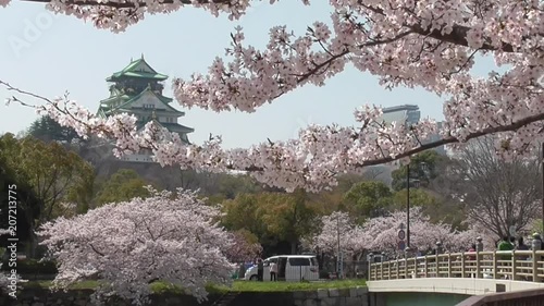 水の都大阪と満開の桜