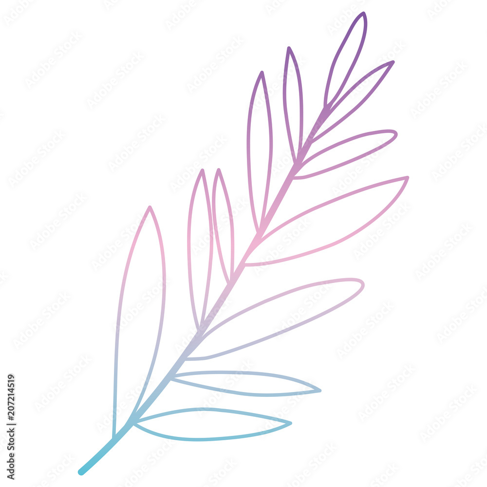 Obraz premium branch with leafs decorative icon vector illustration design