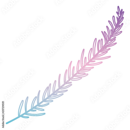 branch with leafs decorative icon vector illustration design