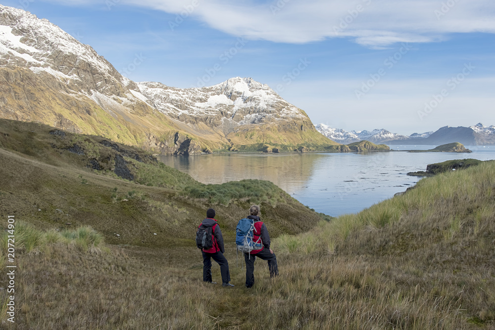 Looking out over the Bay at Maiviken, South Georgia Island, Antarctic