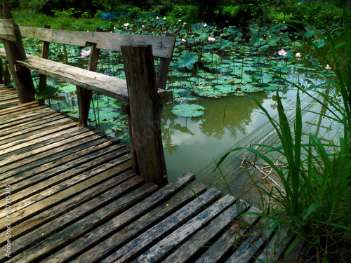 Fototapeta Naklejka Na Ścianę i Meble -  bridge wooden lake