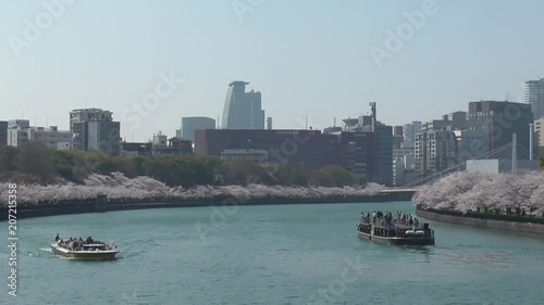水の都大阪と満開の桜