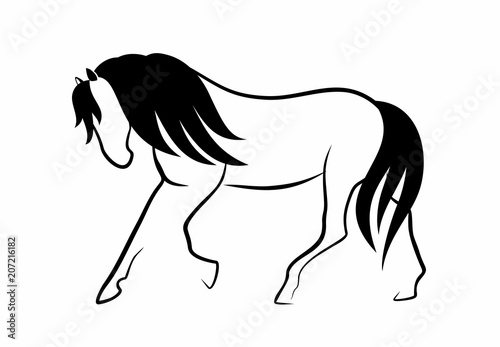  horse with black mane