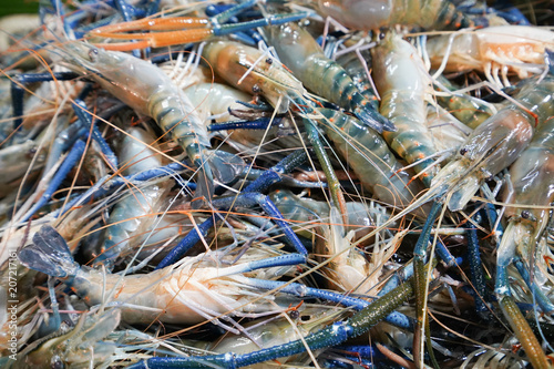Giant freshwater prawn in seafood market