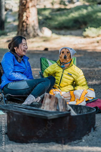 dog dressed as human while camping 