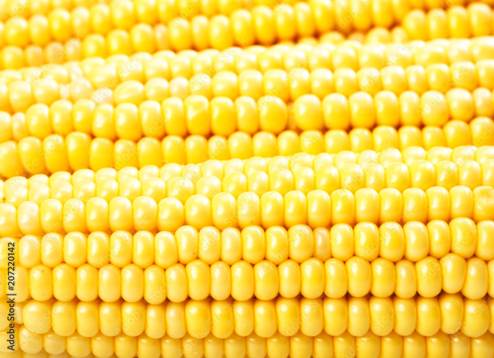 Corn on the cob kernels Corn on the cob kernels