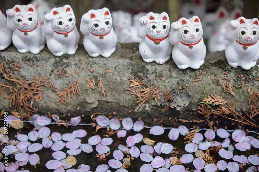 Maneki-neko lucky cats and cherry blossoms at Goutokuji Shrine, Tokyo, Japan Maneki-neko lucky cats and cherry blossoms at Goutokuji Shrine, Tokyo, Japan