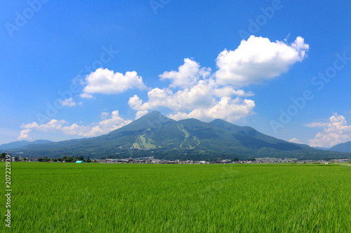 夏の田んぼと磐梯山（福島県・猪苗代町）
