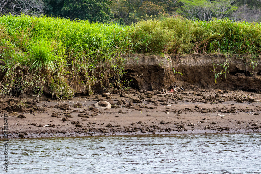 Erosion and pollution on the bank of the Tarcoles River, Costa Rica, with grass and bushes on the river bank and garbage sticking out of the mud
