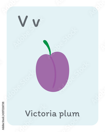 Vegetable and fruit english alphabet. V letter. Victoria plum vector illustration.