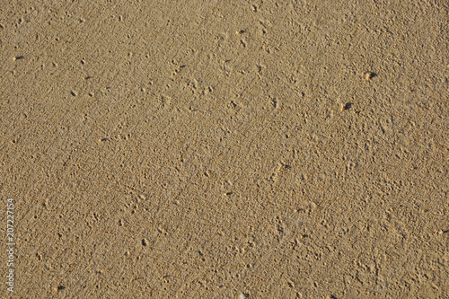 Fine Grain Beach Sand from Beach