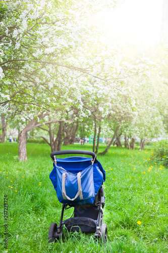 Baby stroller in the blooming garden