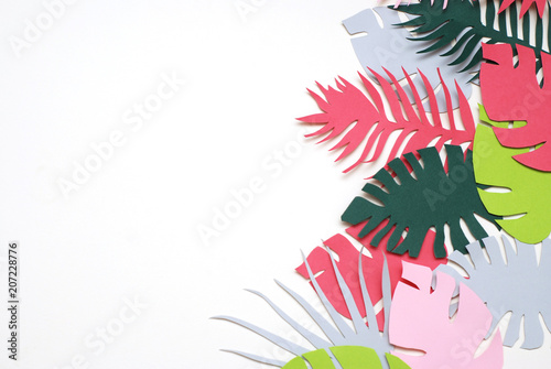 Palm Green Leaves Tropical Exotic Tree Isoalted on White Background. Square Image. Holliday Patern Template Leaf © Inga