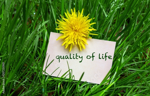 Obraz na plátně Quality of life symbol