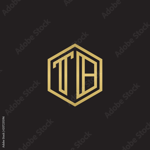 Initial letter TB, minimalist line art hexagon shape logo, gold color on black background
