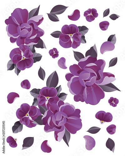 violet flower vector watercolor illustration