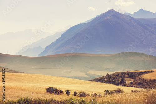 Peruvian pampa