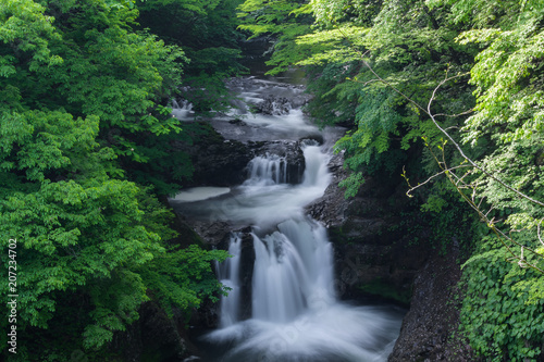                              houmeosizyuuhachitaki-waterfall