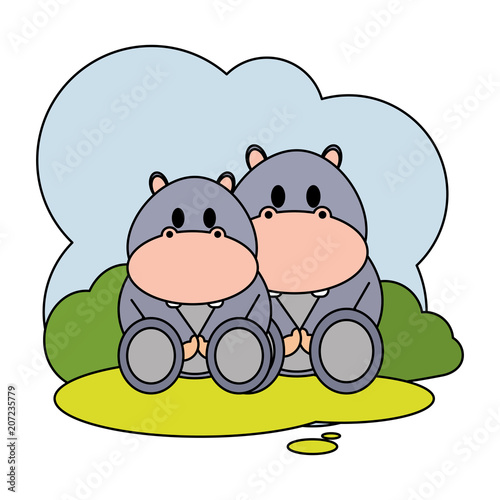 color couple hippopotamus wild animal in the landscape