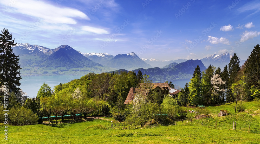 Obraz premium Landscape view of Rigi mountain with flower, grass, house , sky and railway