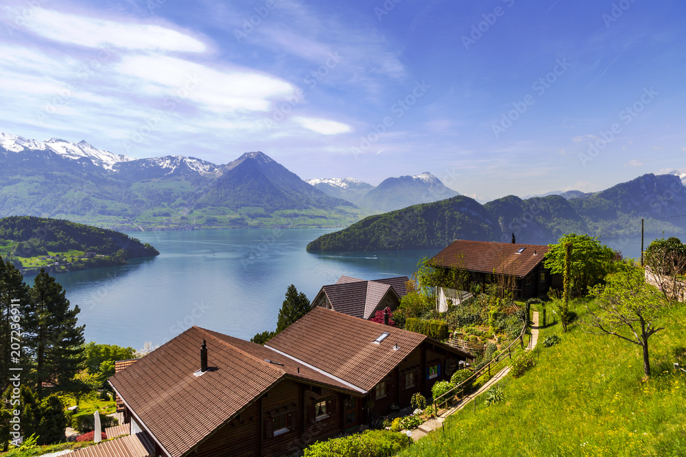 Landscape view of floral , lake, mountain , snow , forest from Rigi Kulm Luzern Switzerland