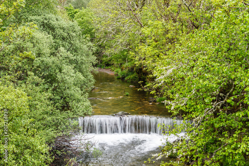 Bosque de ribera y salto de agua en el Río Bayo. Reserva de la Biosfera del Valle de Laciana, León, España.